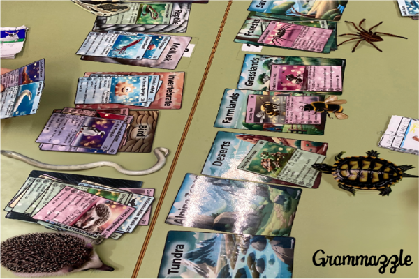 Animal Kingdom: Game Based Learning (ABJ) - Grammazzle